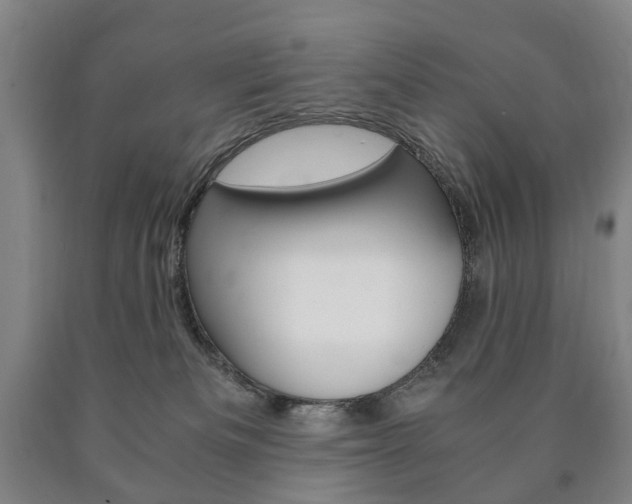 X0000090900133200707301019