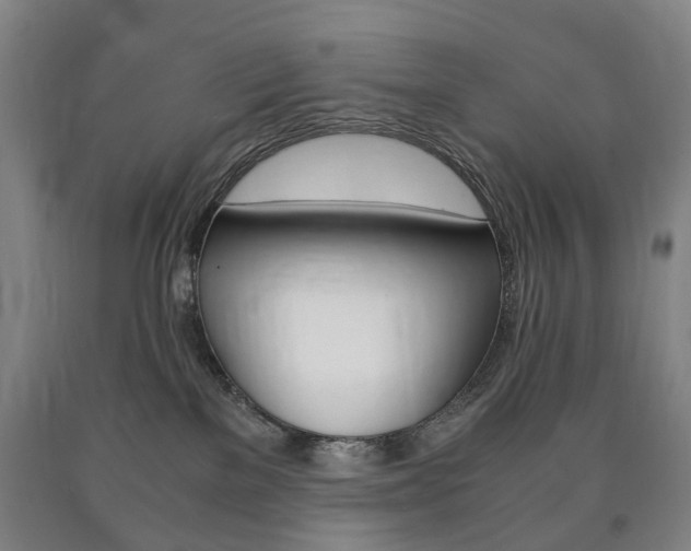 X0000090900137200707301019