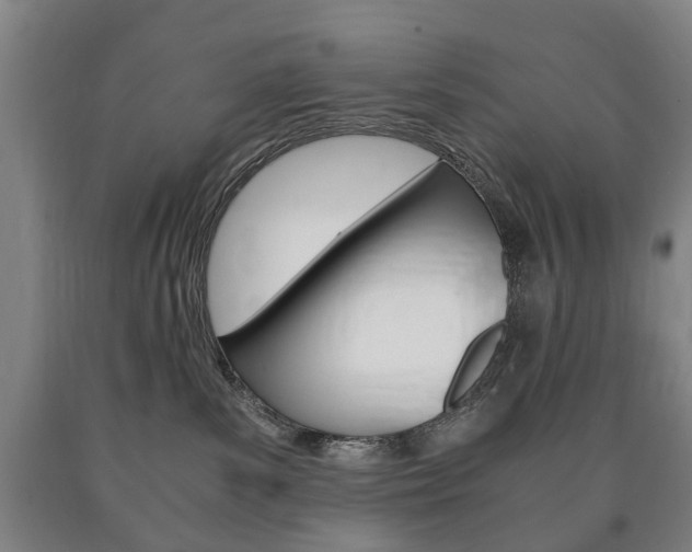 X0000090900139200707301019