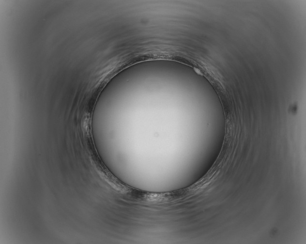 X0000090900141200707301019