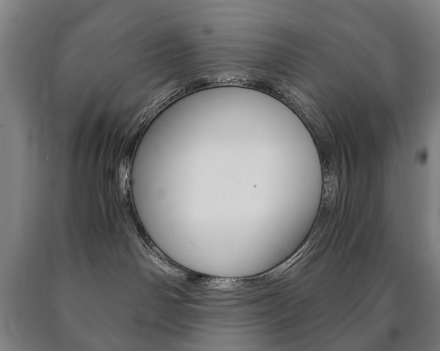 X0000090900142200707301019