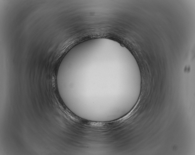 X0000090900144200707301019