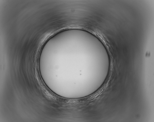 X0000090900145200707301018