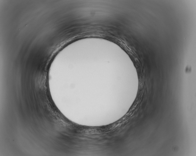 X0000090900146200707301018