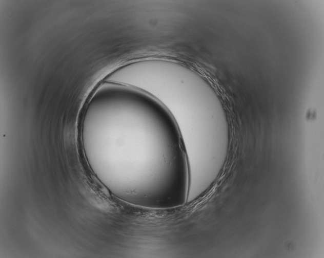 X0000090900148200707301018