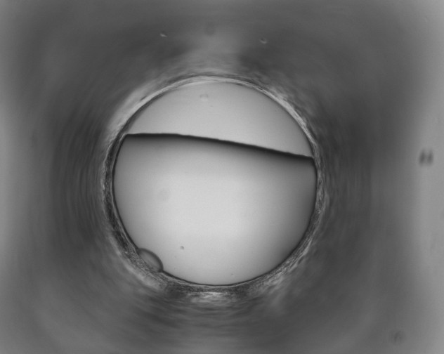 X0000090900151200707301018