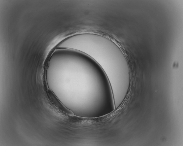 X0000090900152200707301018