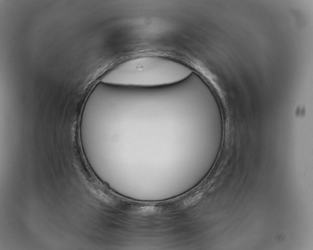 X0000090900153200707301018