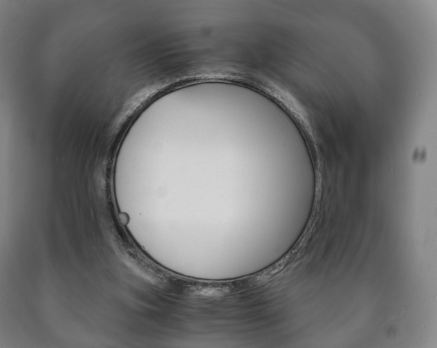 X0000090900155200707301018