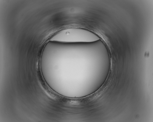 X0000090900157200707301018