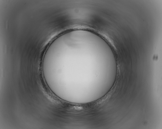 X0000090900159200707301018
