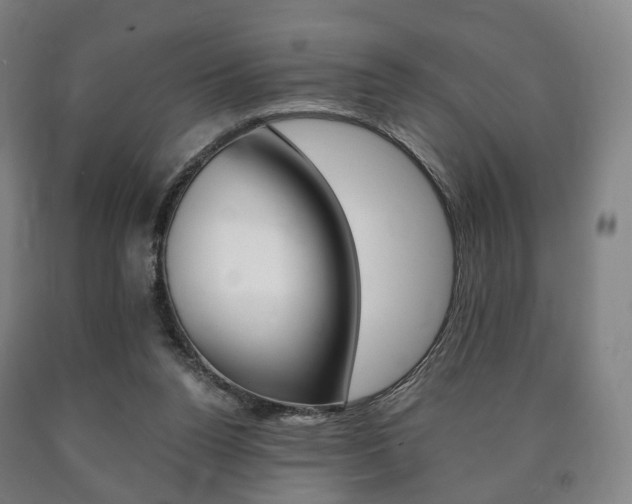 X0000090900160200707301019