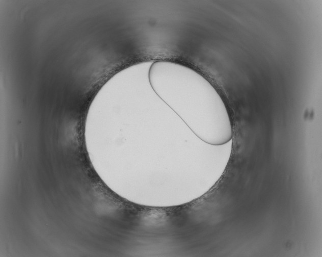X0000090900162200707301019