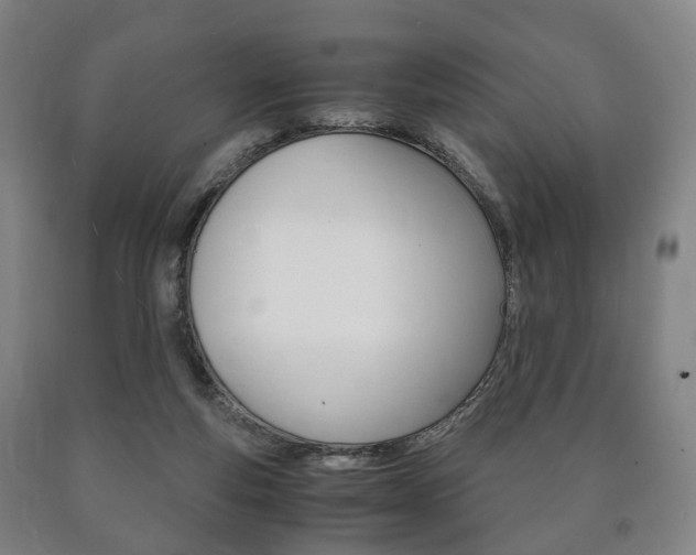 X0000090900163200707301019