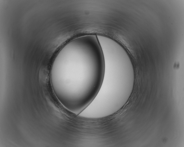 X0000090900164200707301019