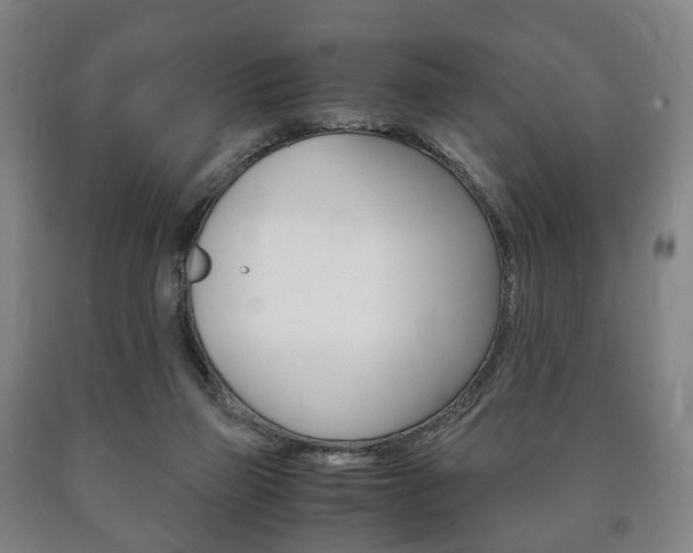 X0000090900165200707301019