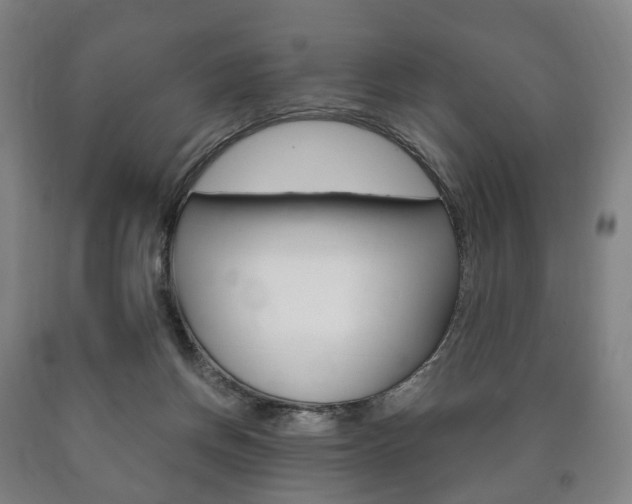 X0000090900166200707301019