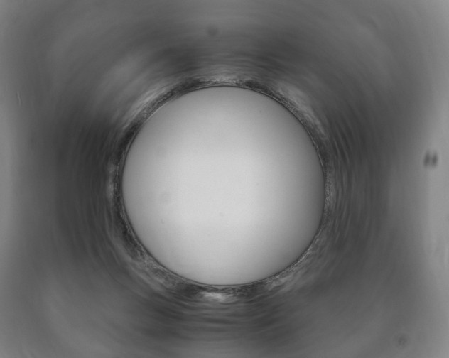 X0000090900167200707301019