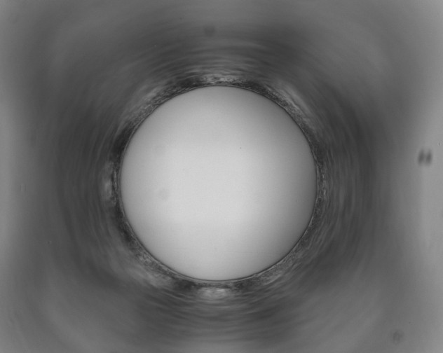 X0000090900169200707301019