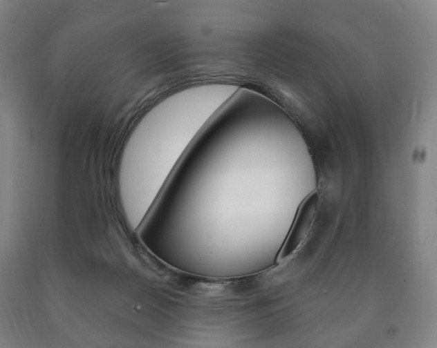 X0000090900170200707301019