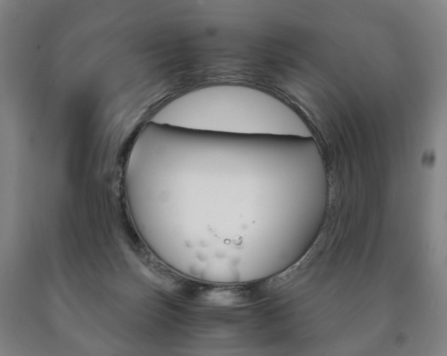 X0000090900171200707301019