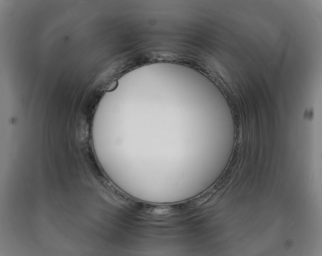X0000090900173200707301019