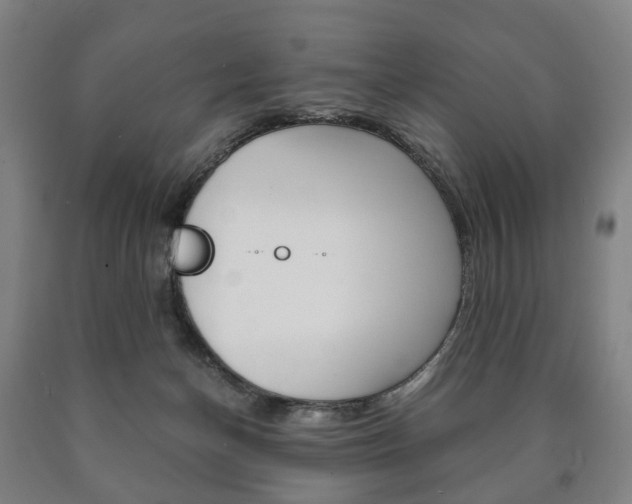 X0000090900174200707301019