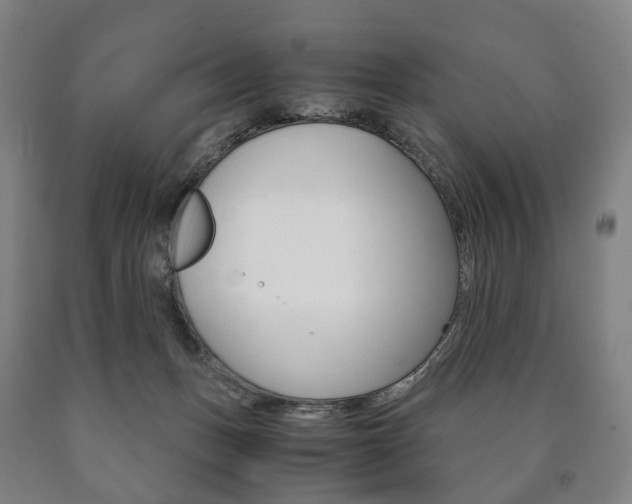 X0000090900175200707301019