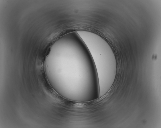 X0000090900176200707301019