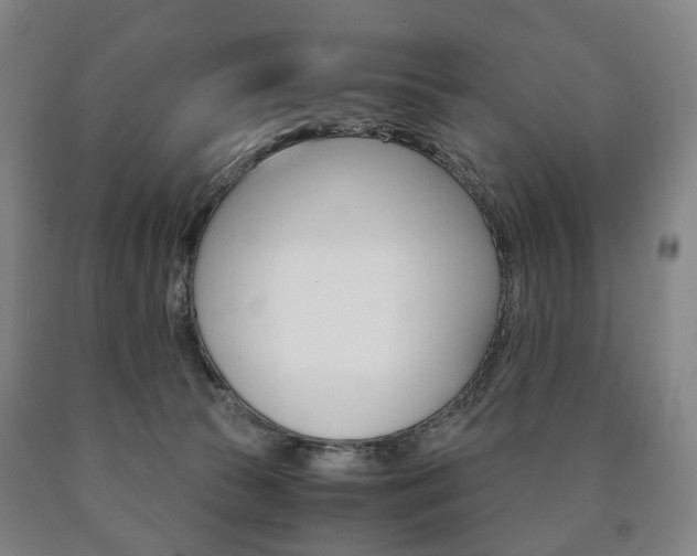 X0000090900177200707301019