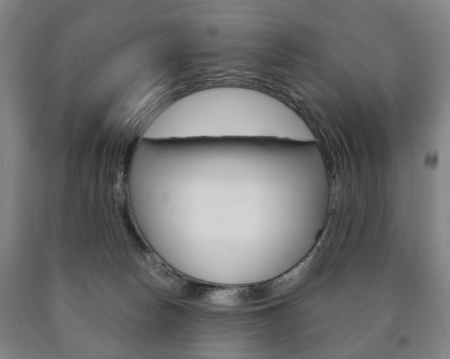 X0000090900178200707301019