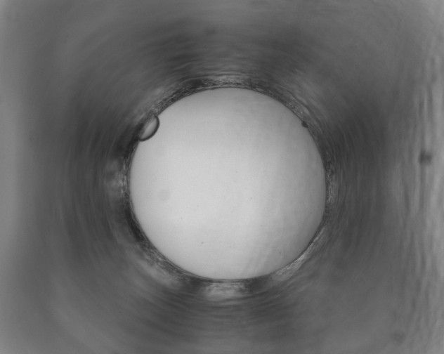 X0000090900179200707301019