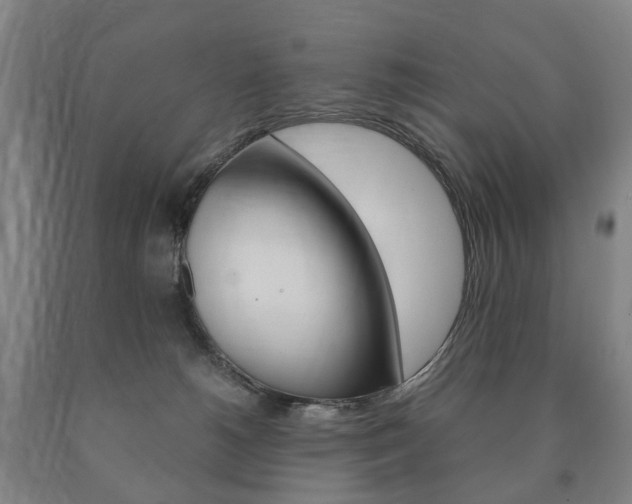 X0000090900180200707301019