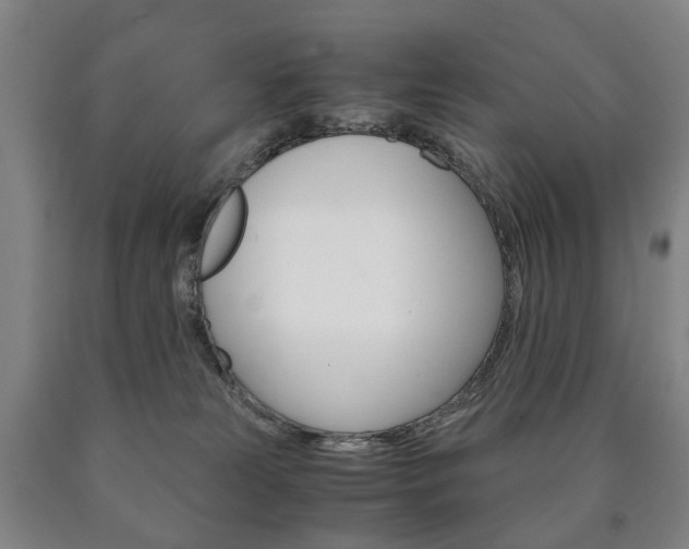 X0000090900181200707301019