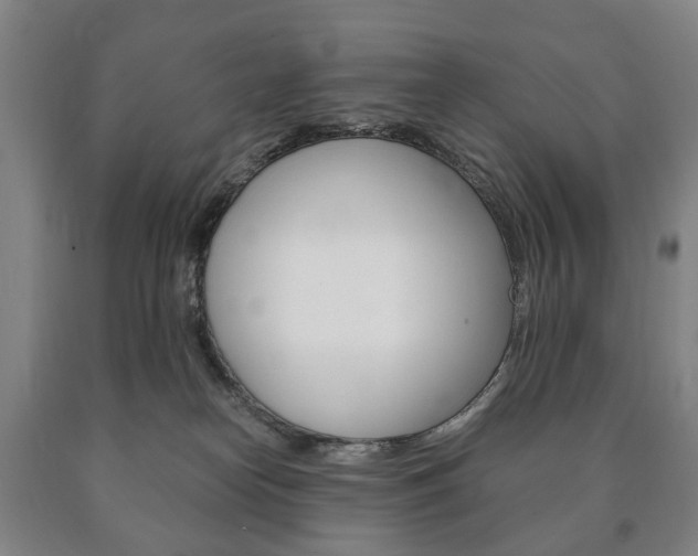 X0000090900182200707301019