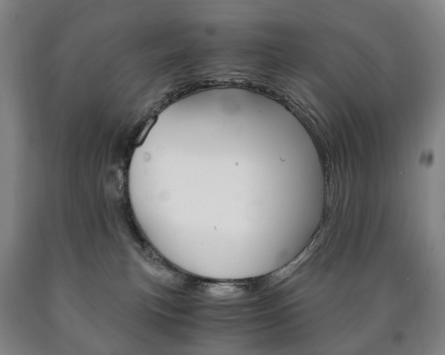 X0000090900183200707301019