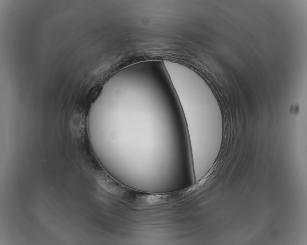 X0000090900184200707301019