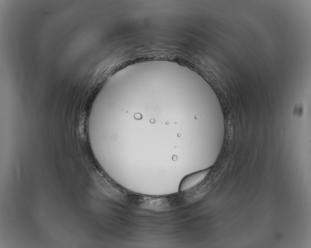 X0000090900185200707301019