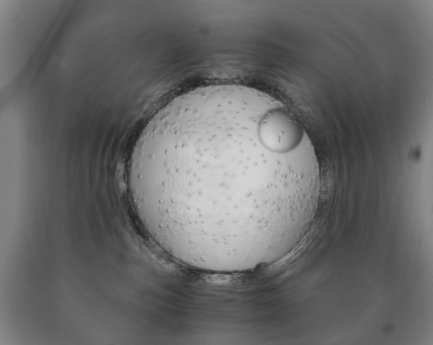 X0000090900187200707301019