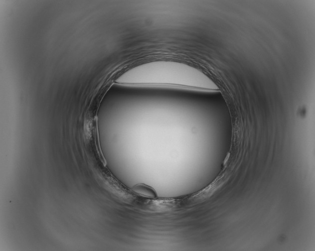 X0000090900188200707301019