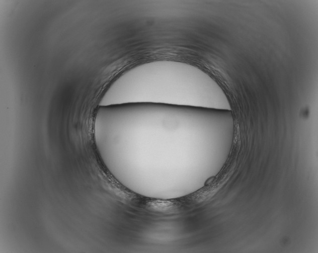 X0000090900189200707301019