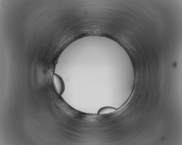 X0000090900190200707301019