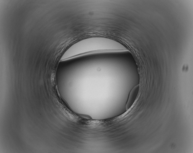 X0000090900192200707301019