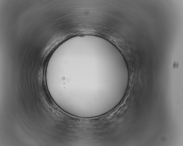 X0000090900194200707301018