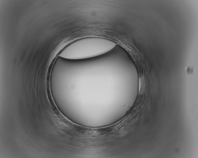 X0000090900195200707301018