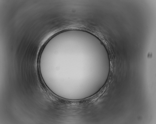 X0000090900196200707301018