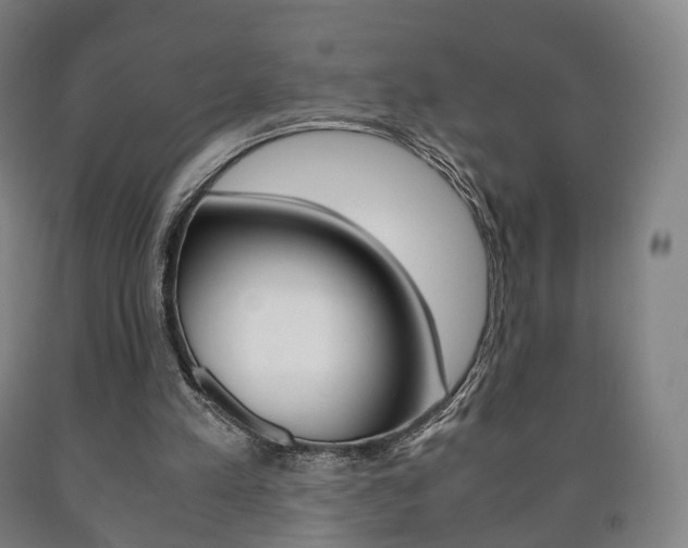 X0000090900197200707301018