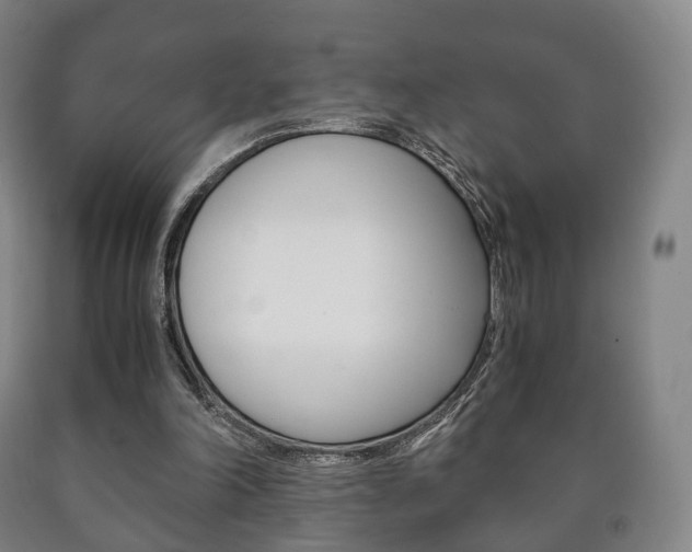 X0000090900198200707301018