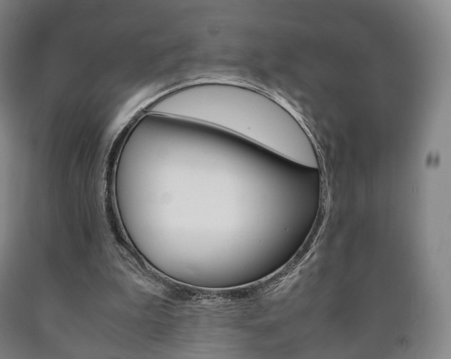 X0000090900199200707301018