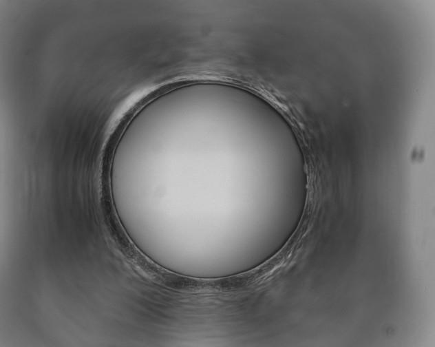 X0000090900200200707301018